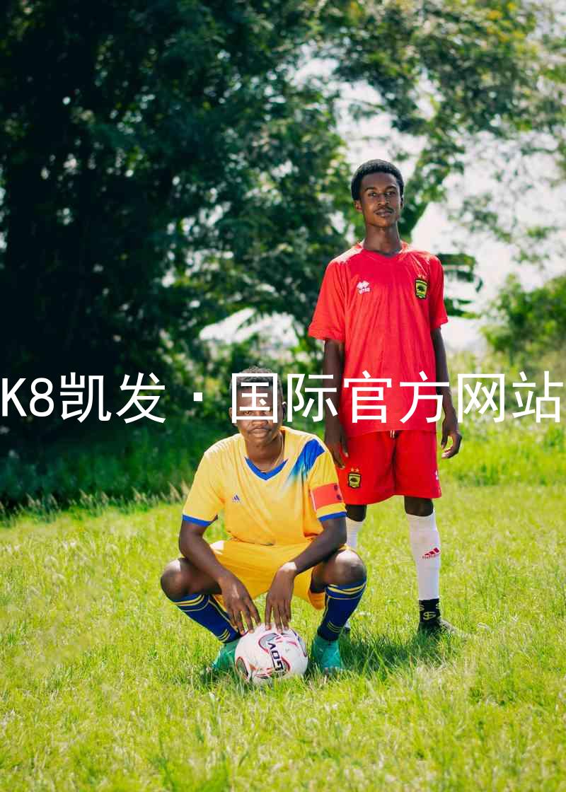 K8凯发·国际官方网站